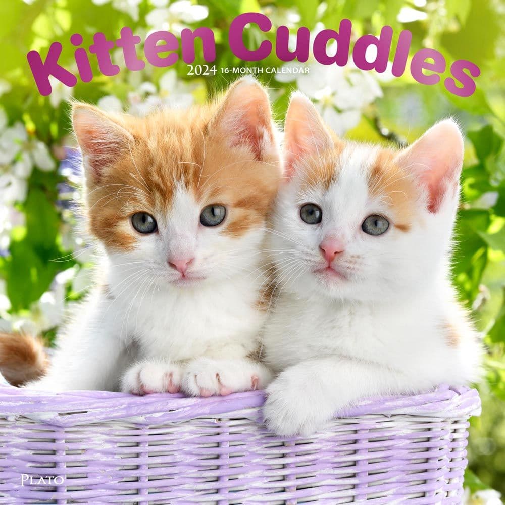 Kitten Cuddles 2024 Wall Calendar Main Product Image width=&quot;1000&quot; height=&quot;1000&quot;