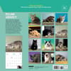 image Cats on Catnip 2027 Wall Calendar First Alternate Image