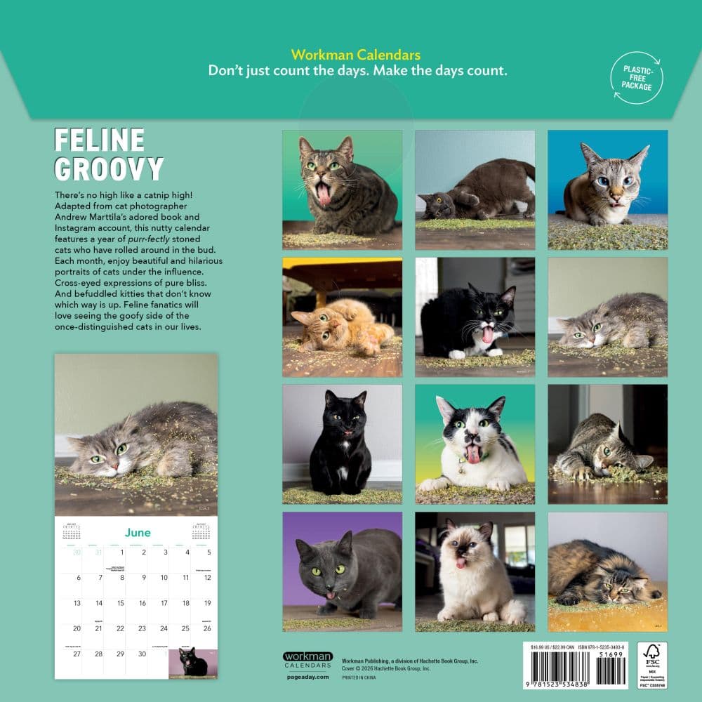 Cats on Catnip 2027 Wall Calendar First Alternate Image
