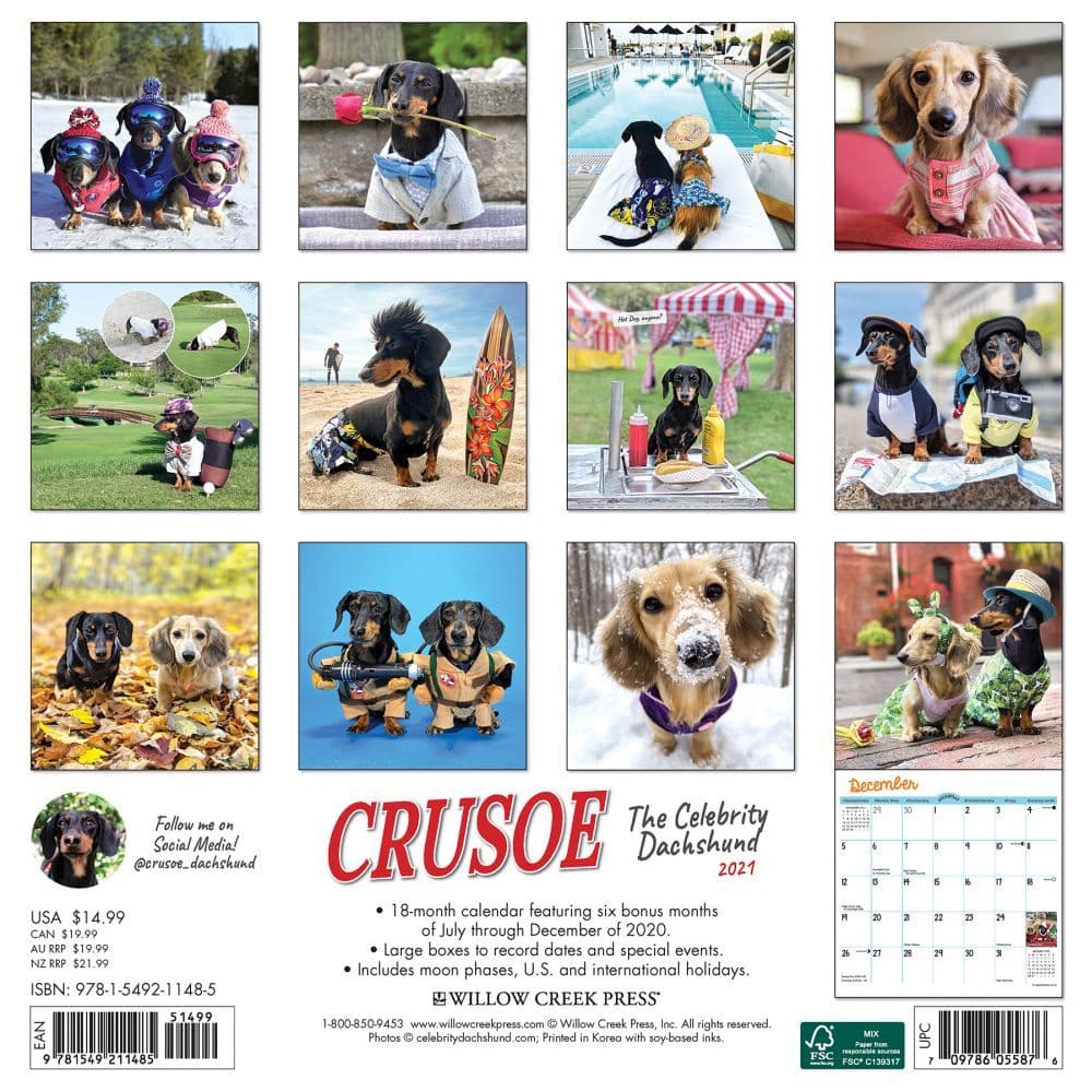 Crusoe the Celebrity Dachshund Wall Calendar