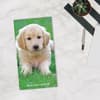 image Puppy Love 2 Year 2025 Pocket Planner Third Alternate Image width=&quot;1000&quot; height=&quot;1000&quot;