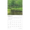 image Massachusetts Wild and Scenic 2025 Wall Calendar Second Alternate Image width=&quot;1000&quot; height=&quot;1000&quot;