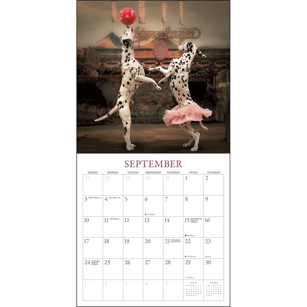 Fantastical Fun With Finlay And Frankie 2023 Wall Calendar - Calendars.com