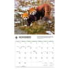 image Red Pandas WWF 2026 Wall Calendar Fourth Alternate Image