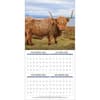 image Highland Cows Photo 2027 Wall Calendar