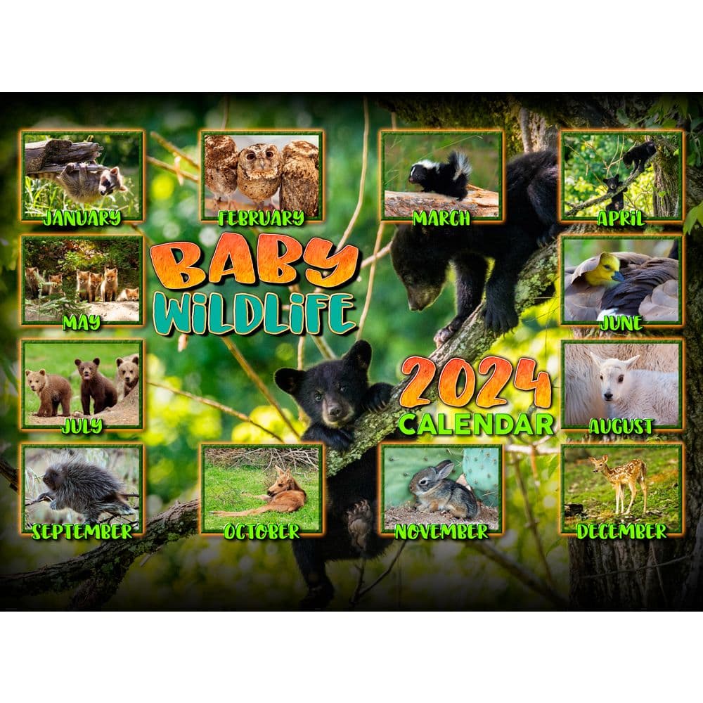 Baby Wildlife 2024 Wall Calendar First Alternate Image