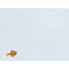 image Lester I. Waters Boxed Note Cards (13 pack) w/ Decorative Box by Lowell Herrero Alternate Image 1