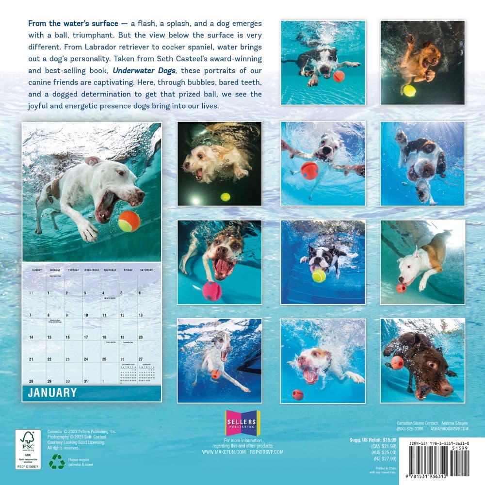 Underwater Dogs 2024 Wall Calendar