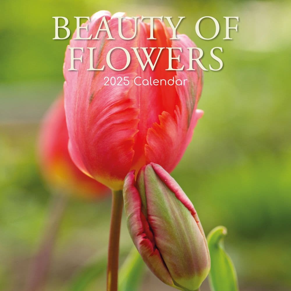 Beauty of Flowers 2025 Wall Calendar