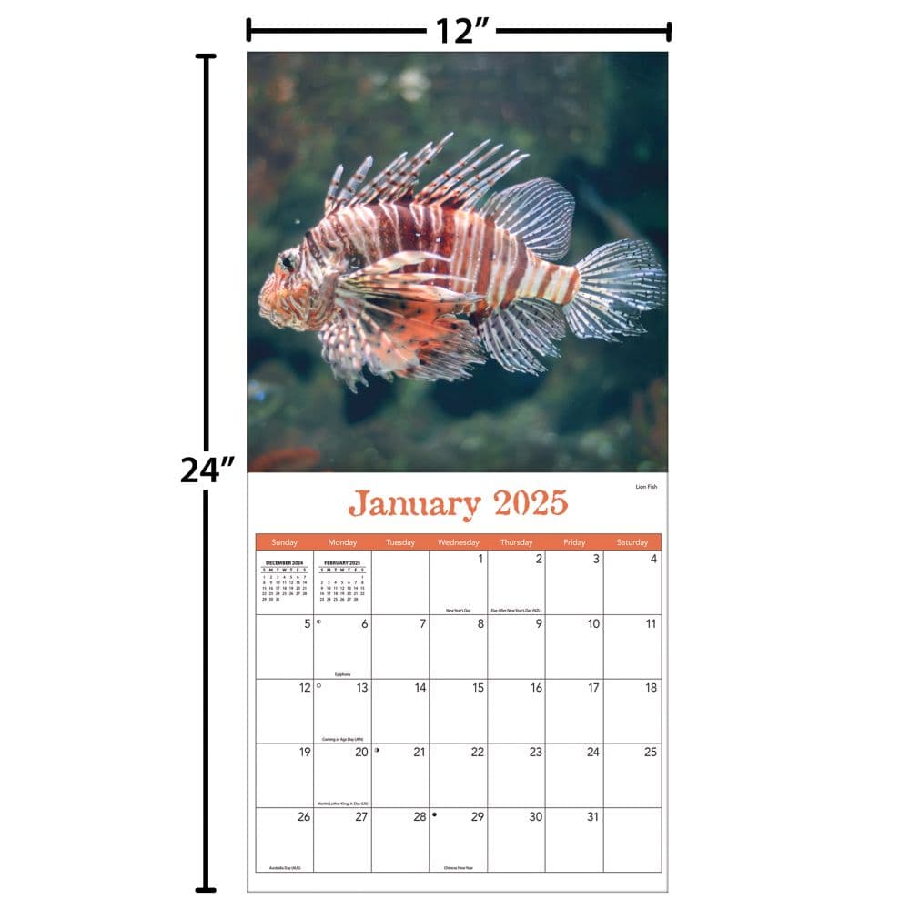 Sea Creatures 2025 Wall Calendar Fifth Alternate Image