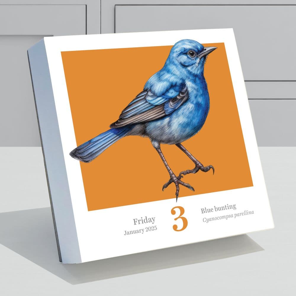 Birds Backyard And Beyond 2025 Desk Calendar Second Alternate Image