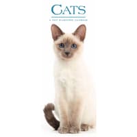 image Cats 2027 Vertical Wall Calendar Main Image