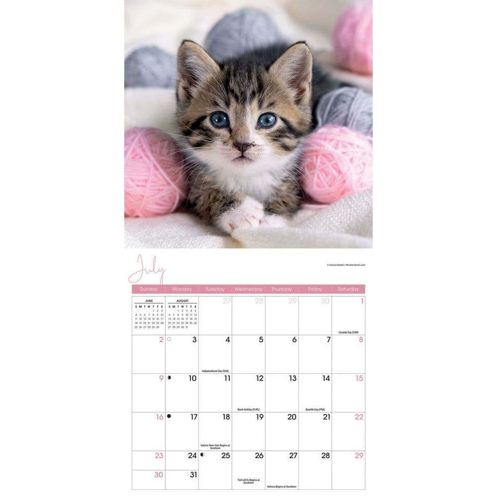Kittens 2023 Mini Wall Calendar - Calendars.com