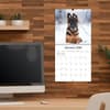 image Playful Puppies Photo 2026 Mini Wall Calendar_ALT5