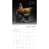 image Glamour Chicks 2026 Wall Calendar Second Alternate Image