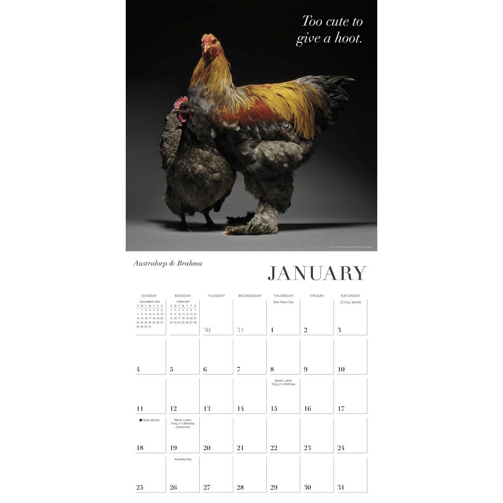 Glamour Chicks 2026 Wall Calendar Second Alternate Image