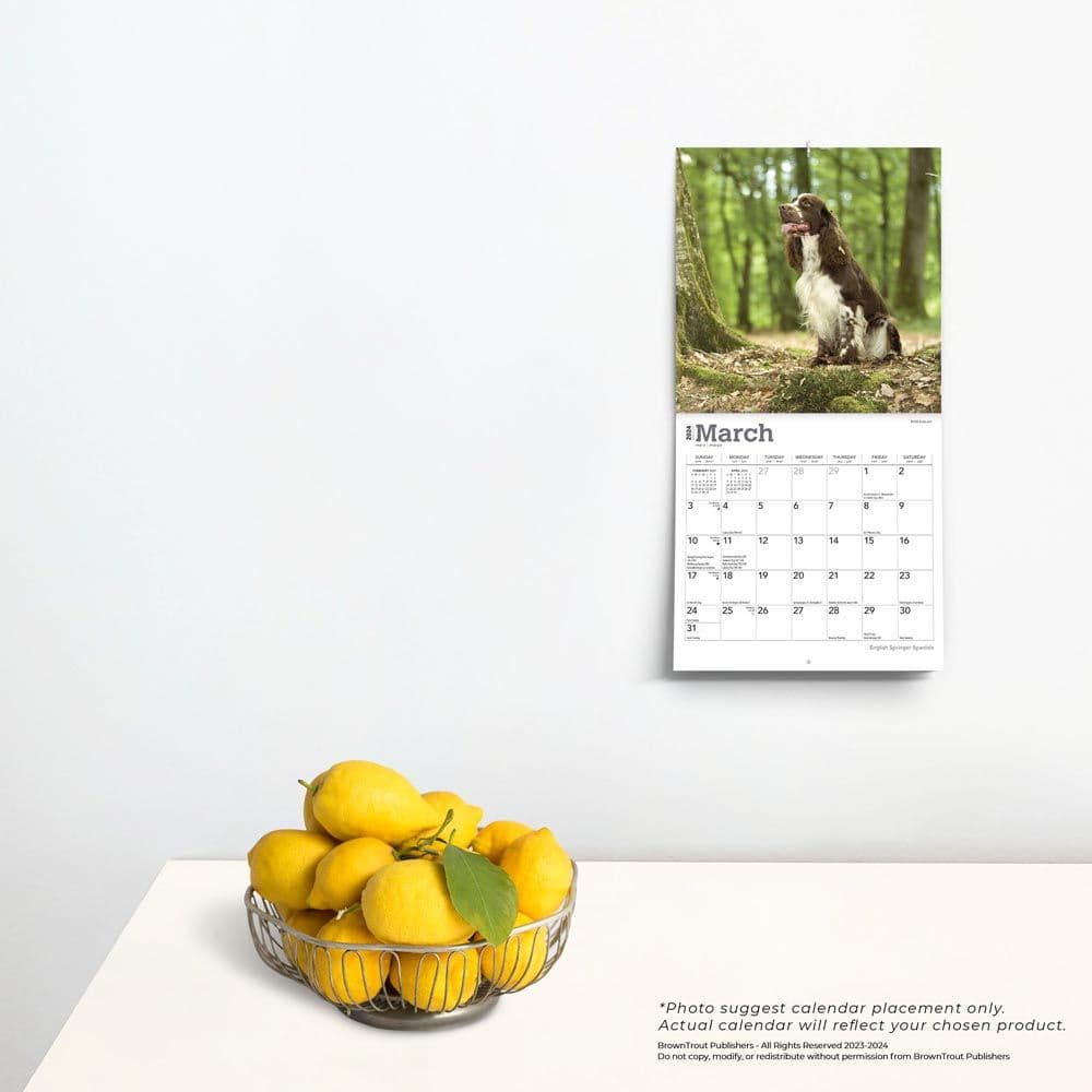 English Springer Spaniels 2024 Mini Wall Calendar Third Alternate Image width=&quot;1000&quot; height=&quot;1000&quot;