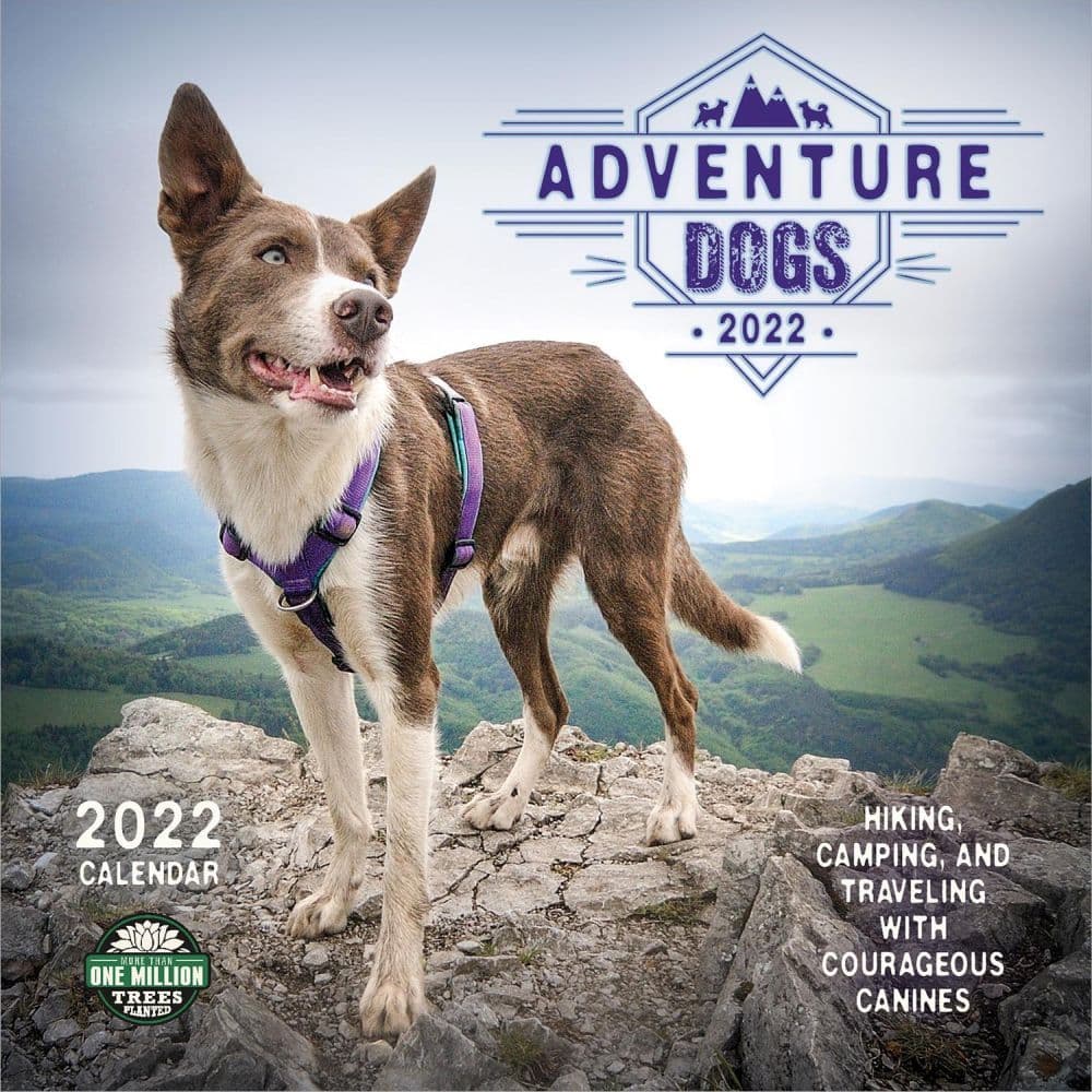 Dogs Adventure 2022 Wall Calendar