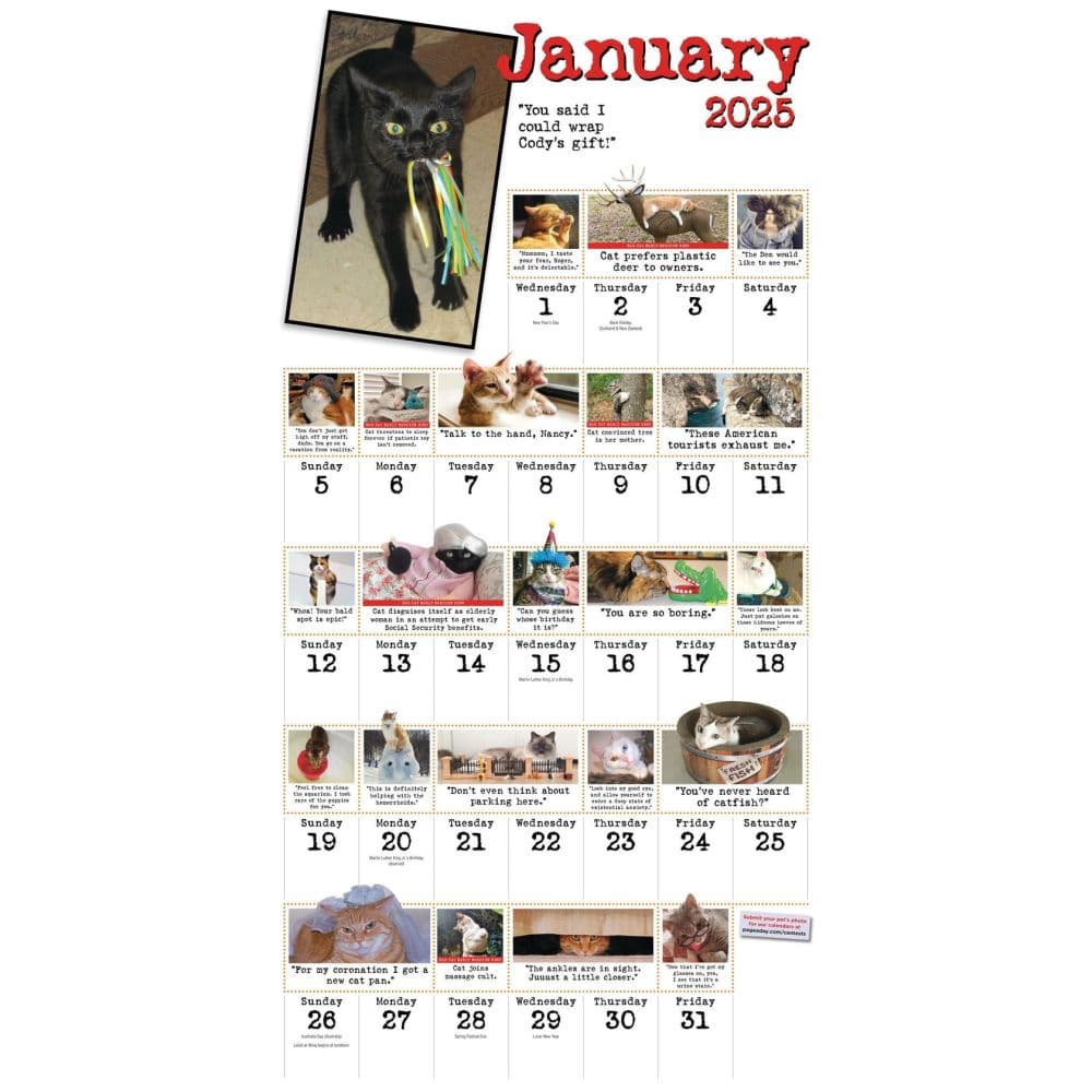 Bad Cat 365 Days 2025 Wall Calendar Fourth Alternate Image width=&quot;1000&quot; height=&quot;1000&quot;