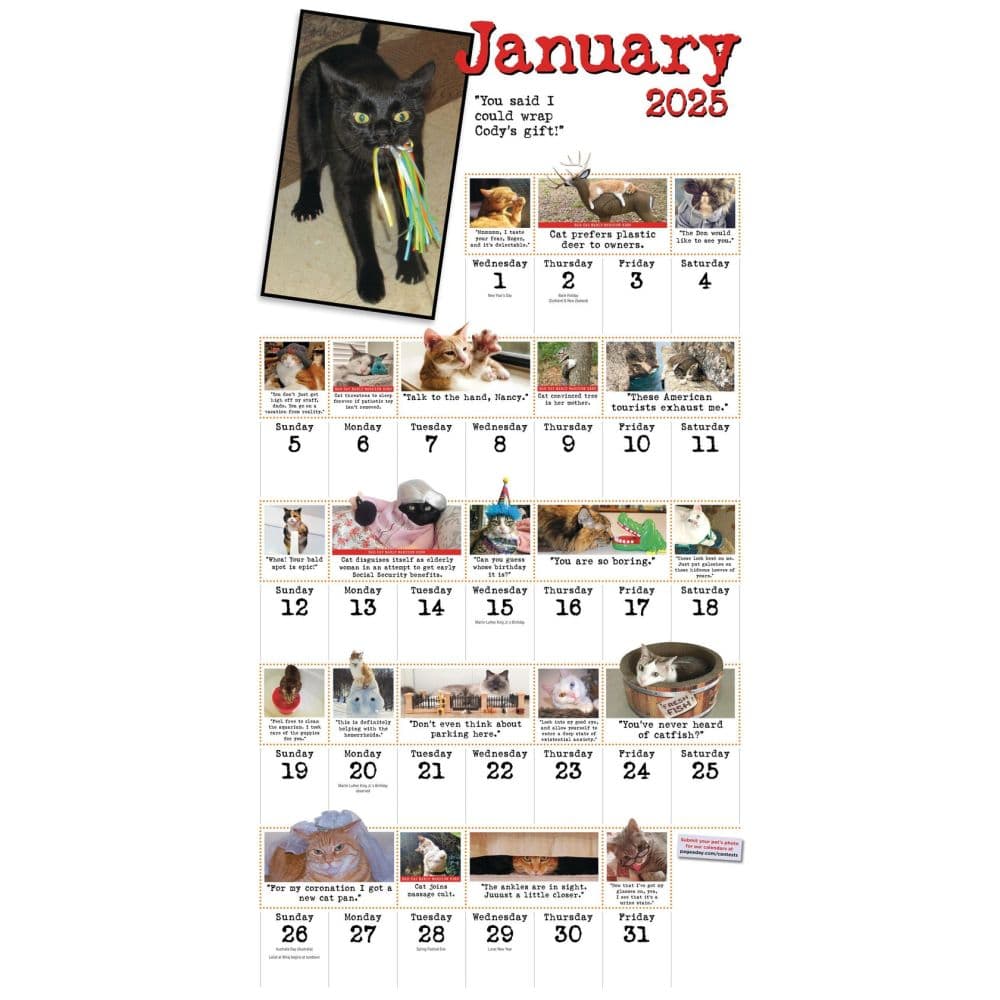 Bad Cat 365 Days 2025 Wall Calendar Fourth Alternate Image width=&quot;1000&quot; height=&quot;1000&quot;