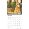 image Ginger Cats 2025 Wall Calendar Second Alternate Image