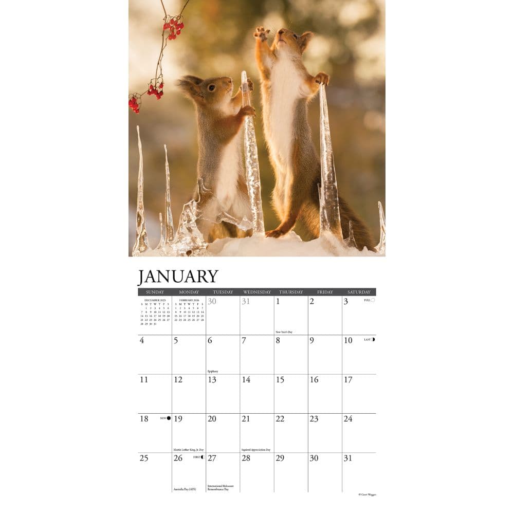 Gettin Squirrelly 2026 Mini Wall Calendar Second Alternate Image