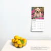 image Golden Retriever Puppies 2025 Mini Wall Calendar