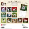 image Jack Russell Terriers 2027 Wall Calendar First Alternate Image