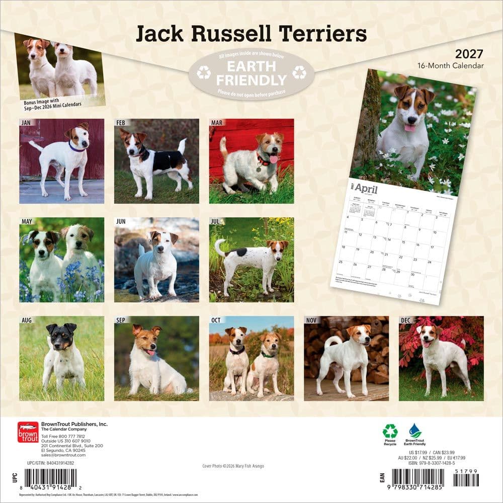 Jack Russell Terriers 2027 Wall Calendar First Alternate Image