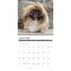 image Pekingese Just 2026 Wall Calendar Second Alternate Image