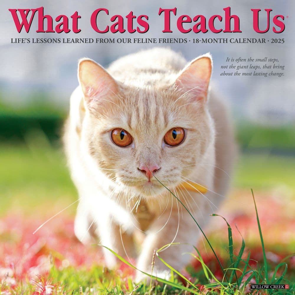 What Cats Teach Us 2025 Wall Calendar