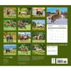 image Horses Deluxe 2025 Wall Calendar First Alternate Image width=&quot;1000&quot; height=&quot;1000&quot;