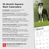 image Great Danes International 2024 Wall Calendar Fourth Alternate Image width=&quot;1000&quot; height=&quot;1000&quot;