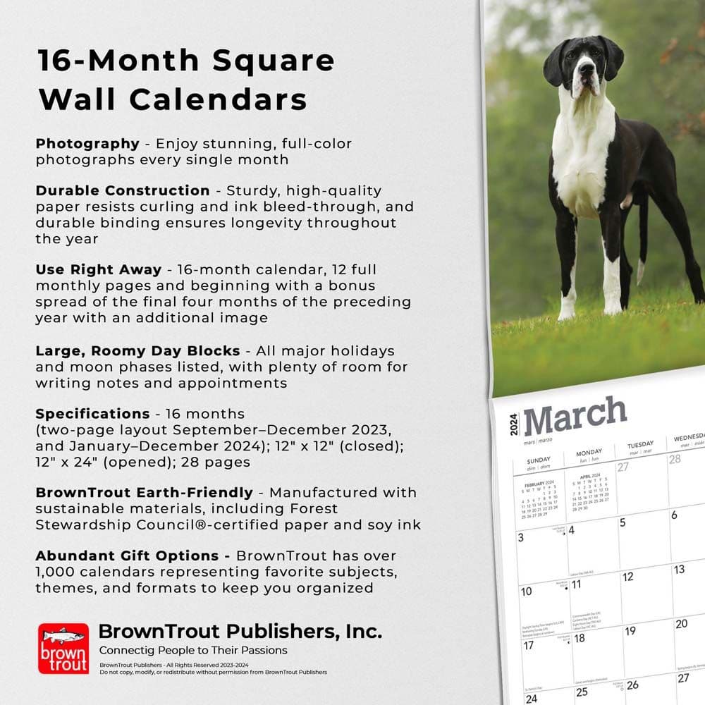Great Danes International 2024 Wall Calendar Fourth Alternate Image width=&quot;1000&quot; height=&quot;1000&quot;
