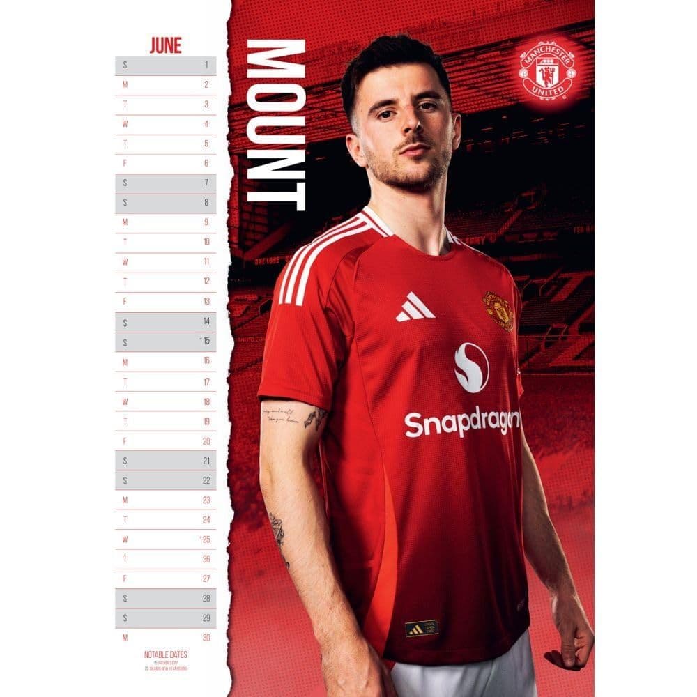 Manchester United FC Poster 2025 Wall Calendar Third Alternate Image