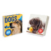 image Dogs Daily 2025 Desk Calendar front of box and interior view