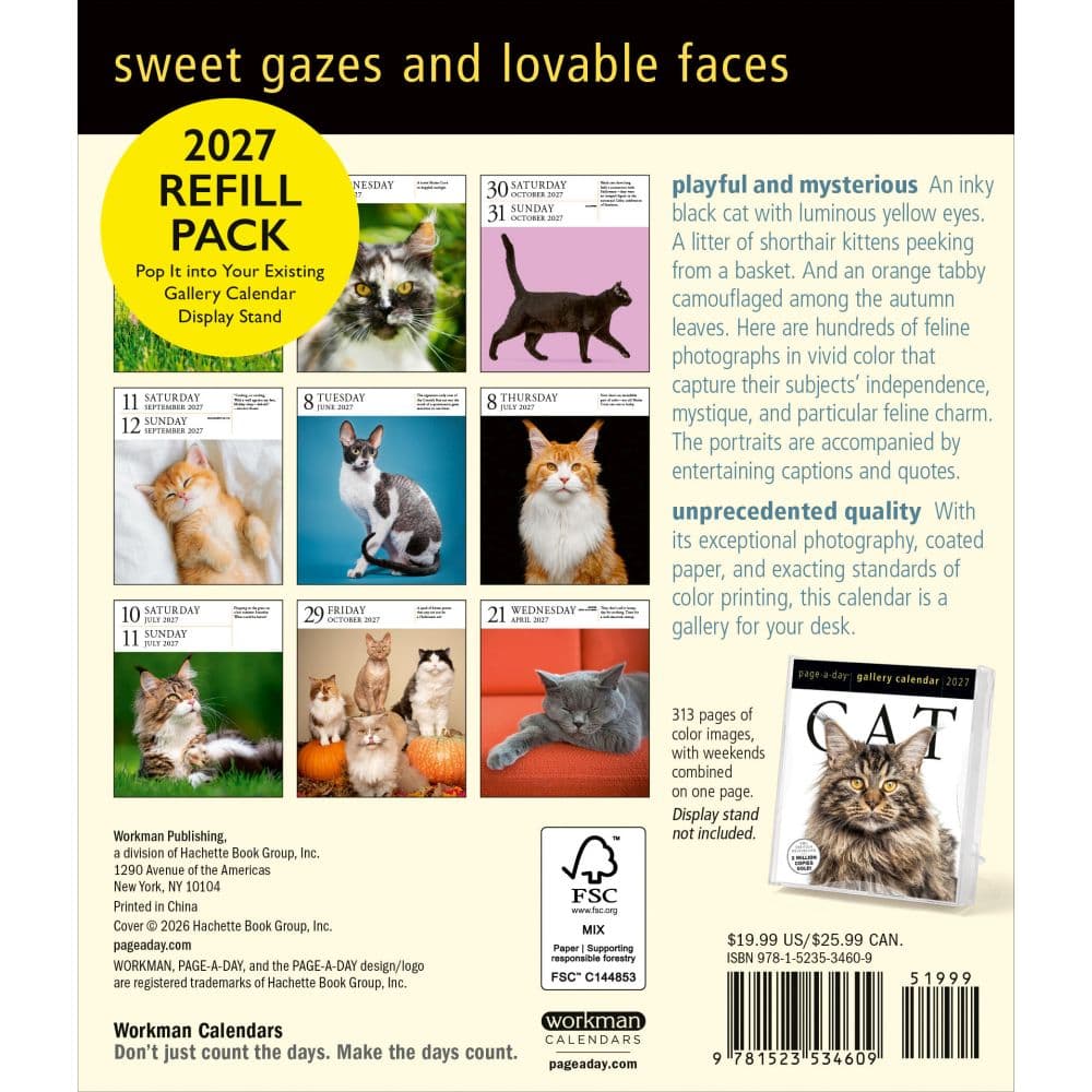 Cat Page-A-Day Gallery Calendar Refill Pack First Alternate Image