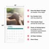 image Italian Greyhounds 2025 Wall Calendar Fourth Alternate Image width=&quot;1000&quot; height=&quot;1000&quot;