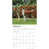 image Basenjis 2024 Wall Calendar Second Alternate Image width=&quot;1000&quot; height=&quot;1000&quot;