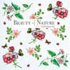 image Beauty of Nature 2025 Wall Calendar Main Product Image width=&quot;1000&quot; height=&quot;1000&quot;