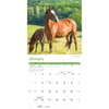 image Wild Horses 2026 Wall Calendar Second Alternate Image