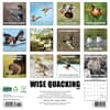 image Wise Quacking 2025 Wall Calendar First Alternate Image width="1000" height="1000"