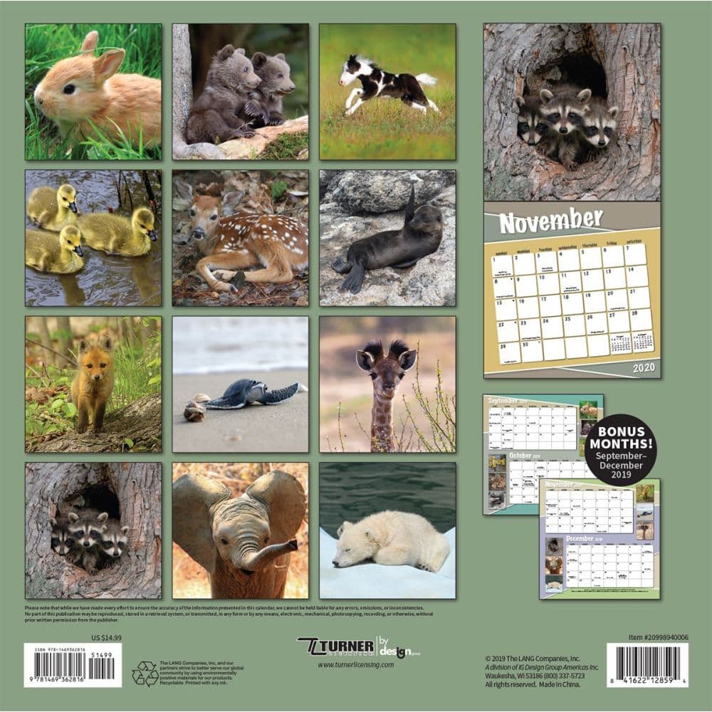 Baby Animals Wall Calendar - Calendars.com