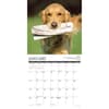 image Just Golden Rules 2025 Wall Calendar Second Alternate Image width=&quot;1000&quot; height=&quot;1000&quot;