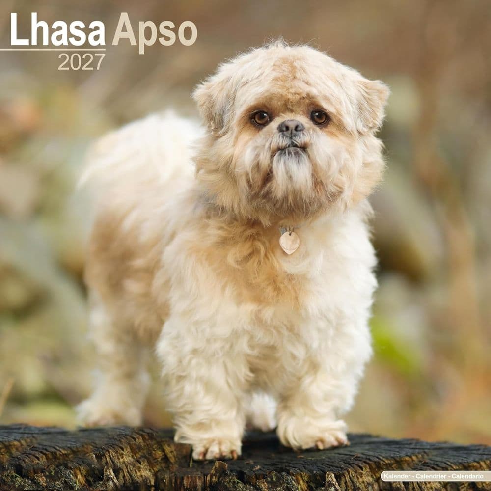 image Lhasa Apso 2027 Wall Calendar Main Product Image