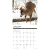 image Monster Bucks 2025 Wall Calendar