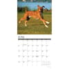 image Just 2025 Boxers 2025 Wall Calendar Second Alternate Image width="1000" height="1000"