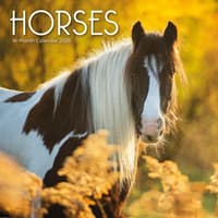 image Horses 2026 Wall Calendar Main Product Image