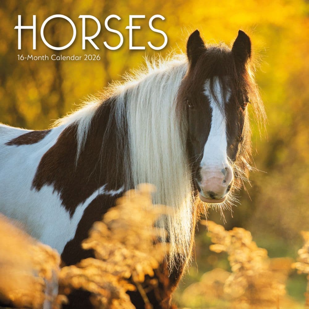 Horses 2026 Wall Calendar Main Product Image