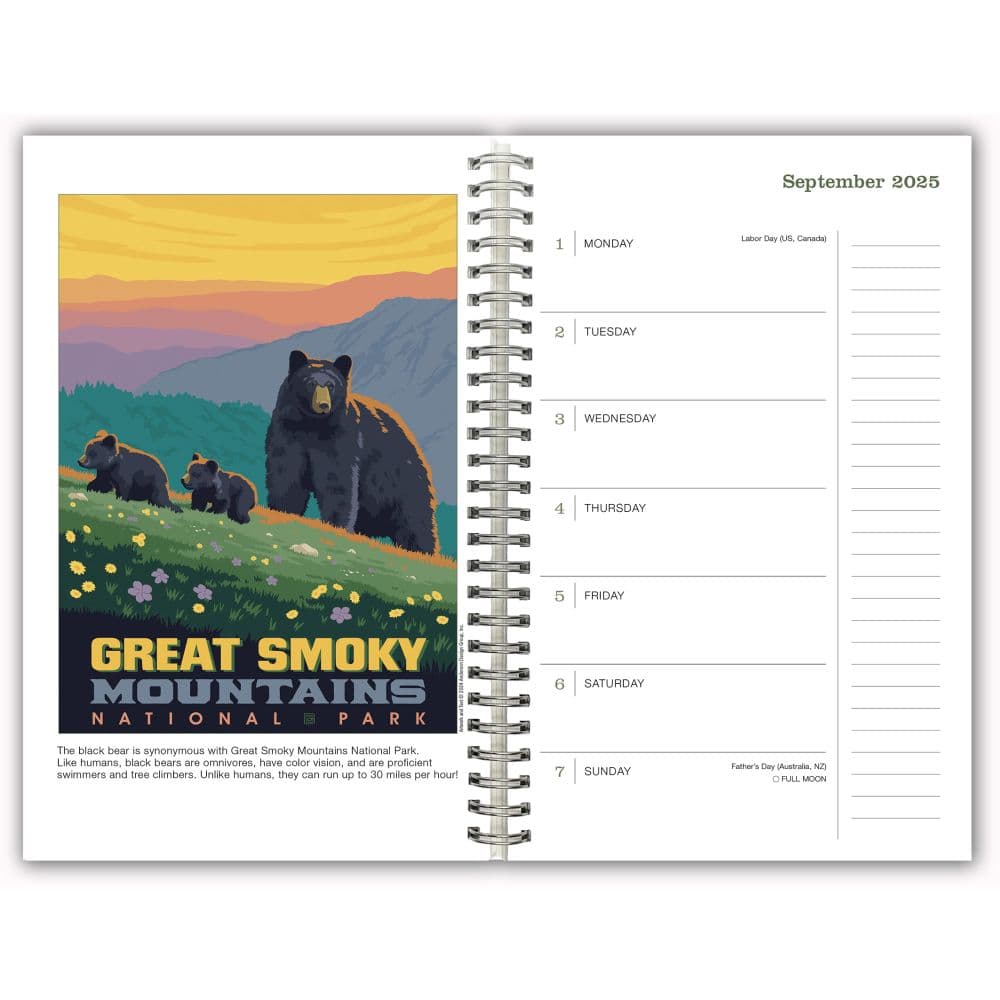 National Parks Classic Posters 2025 Planner